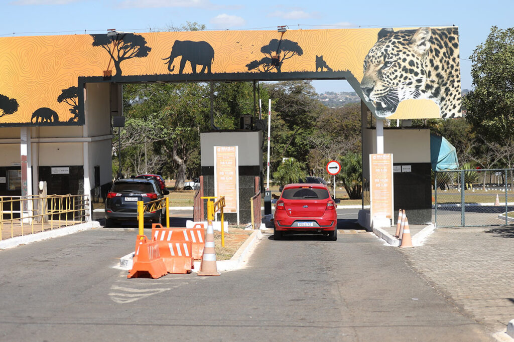 Zoológico de Brasília Oferece Entrada Gratuita para Mulheres Neste Sábado (7) Zoológico de Brasília Oferece Entrada Gratuita para Mulheres Neste Sábado (7)