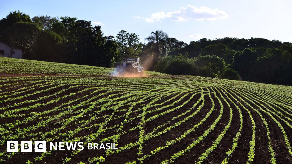 A Guerra no Irã e Seus Impactos no Agronegócio Brasileiro: Uma Análise Necessária A Guerra no Irã e Seus Impactos no Agronegócio Brasileiro: Uma Análise Necessária