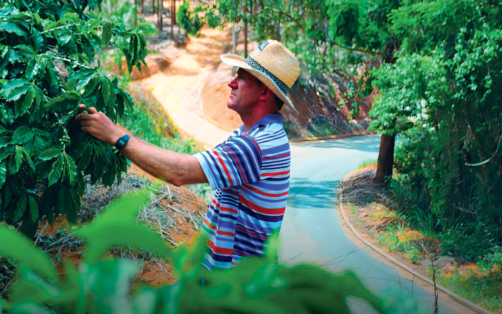 Agronegócio Capixaba: Pilar Fundamental da Economia do Espírito Santo Agronegócio Capixaba: Pilar Fundamental da Economia do Espírito Santo