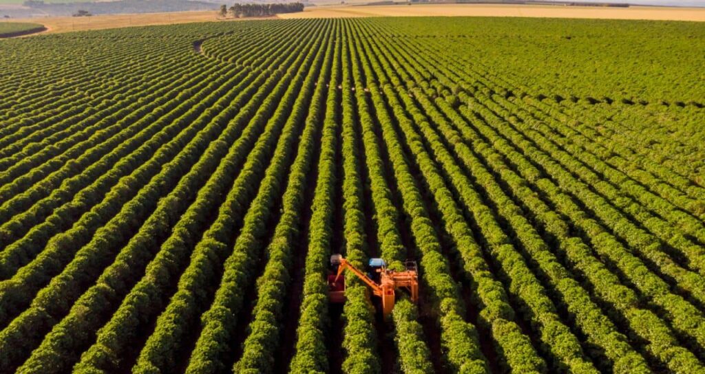 Análise do BTG: Inadimplência no Agronegócio Pode Aumentar, Mas Banco do Brasil Prevê Recuperação Análise do BTG: Inadimplência no Agronegócio Pode Aumentar, Mas Banco do Brasil Prevê Recuperação