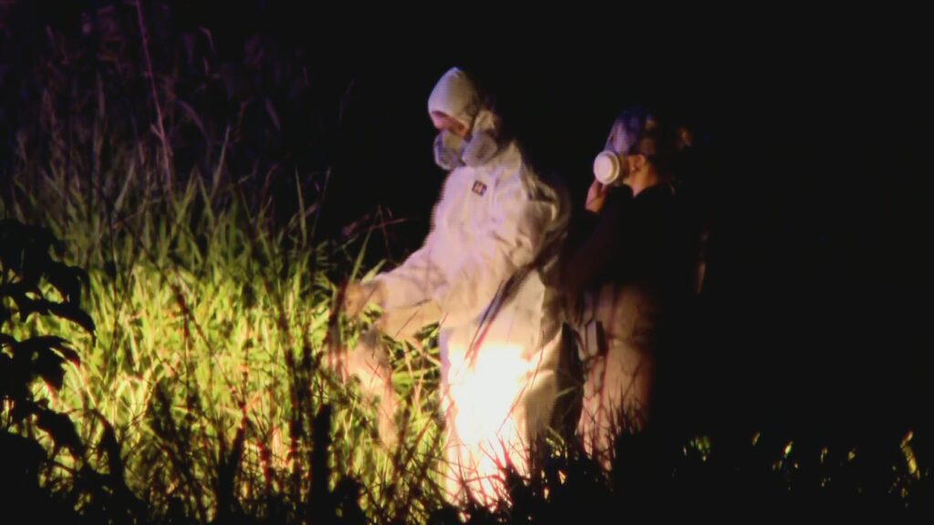 Chacina no DF: Réus podem enfrentar penas de até 385 anos de prisão, afirma MP