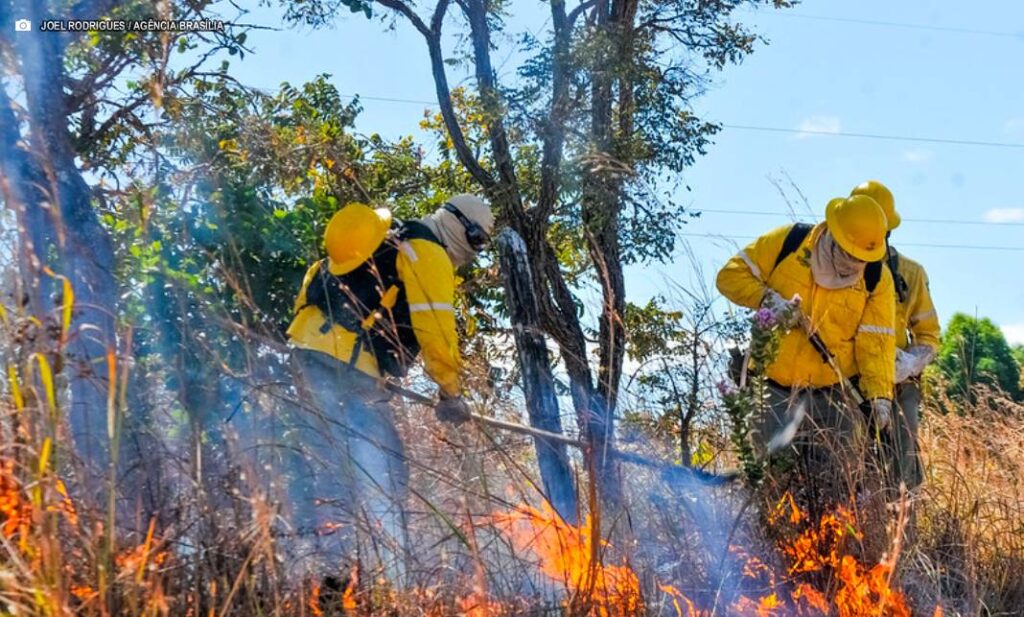 Curso de Formação de Brigadistas Aumenta Capacitação para Combate a Incêndios Florestais no DF Curso de Formação de Brigadistas Aumenta Capacitação para Combate a Incêndios Florestais no DF