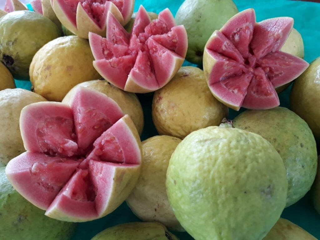 Feira da Goiaba em Brasília: Celebração da Produção Rural e Impulso à Economia Local