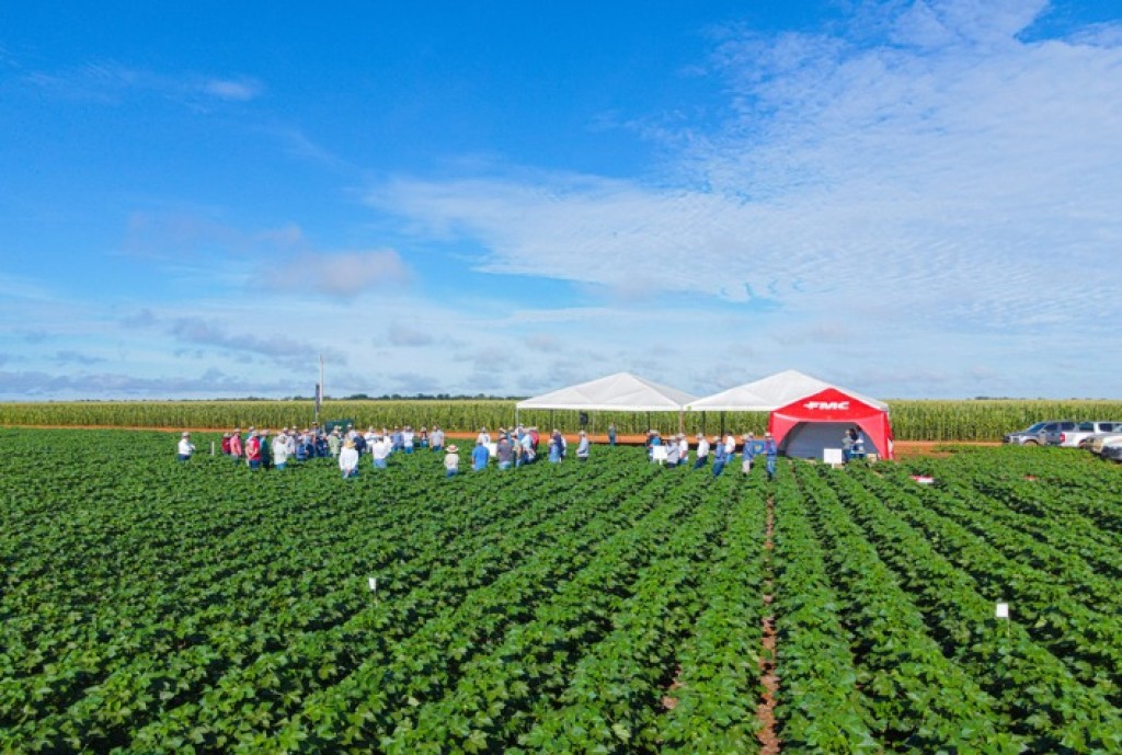 FMC Lança Tour Gigantes do Algodão 2026 e Reafirma Posição de Liderança do Brasil na Cotonicultura FMC Lança Tour Gigantes do Algodão 2026 e Reafirma Posição de Liderança do Brasil na Cotonicultura