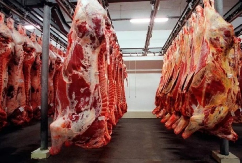 Exportações de carne bovina do Brasil superam 1 milhão de toneladas em 2026 Exportações de carne bovina do Brasil superam 1 milhão de toneladas em 2026