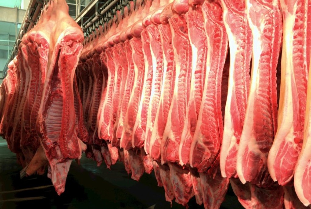 Exportações de Carne Suína do Brasil Aumentam 8,3% em Abril, Faturamento Ultrapassa US$ 328 Milhões Exportações de Carne Suína do Brasil Aumentam 8,3% em Abril, Faturamento Ultrapassa US$ 328 Milhões