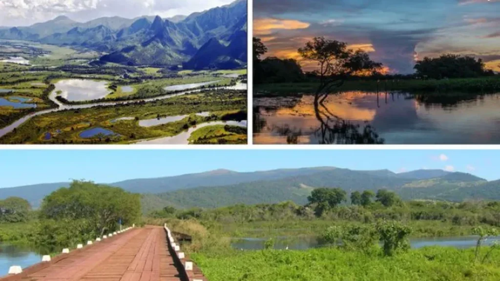 Turismo no Pantanal: 10 Experiências que Conectam Natureza e Cultura Turismo no Pantanal: 10 Experiências que Conectam Natureza e Cultura