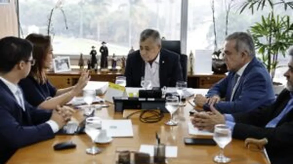 Prefeita de Campo Grande busca apoio federal para recuperação após vendaval Prefeita de Campo Grande busca apoio federal para recuperação após vendaval