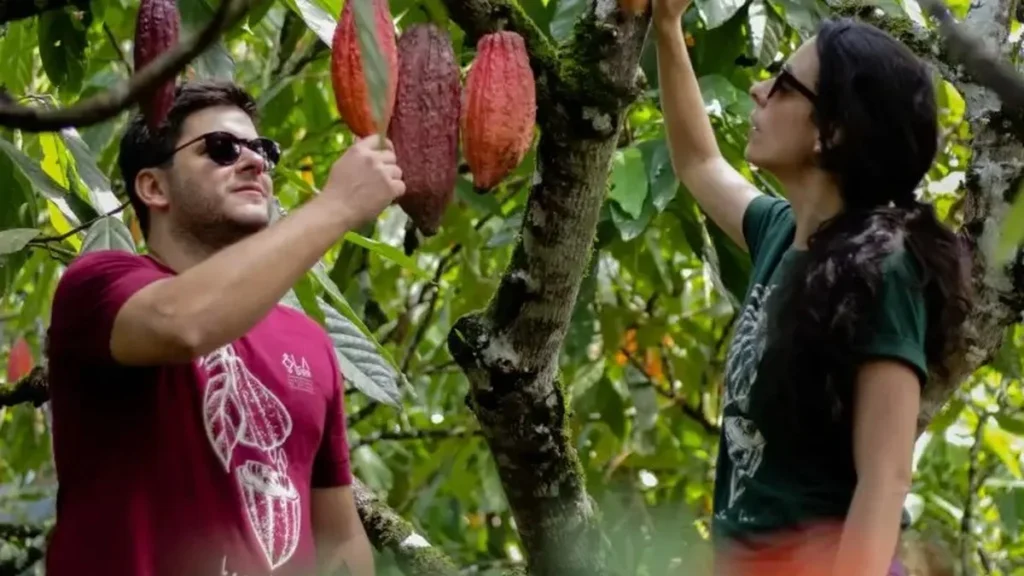 Labarr: De Brasília para Portugal, o chocolate artesanal que conquista o mercado internacional