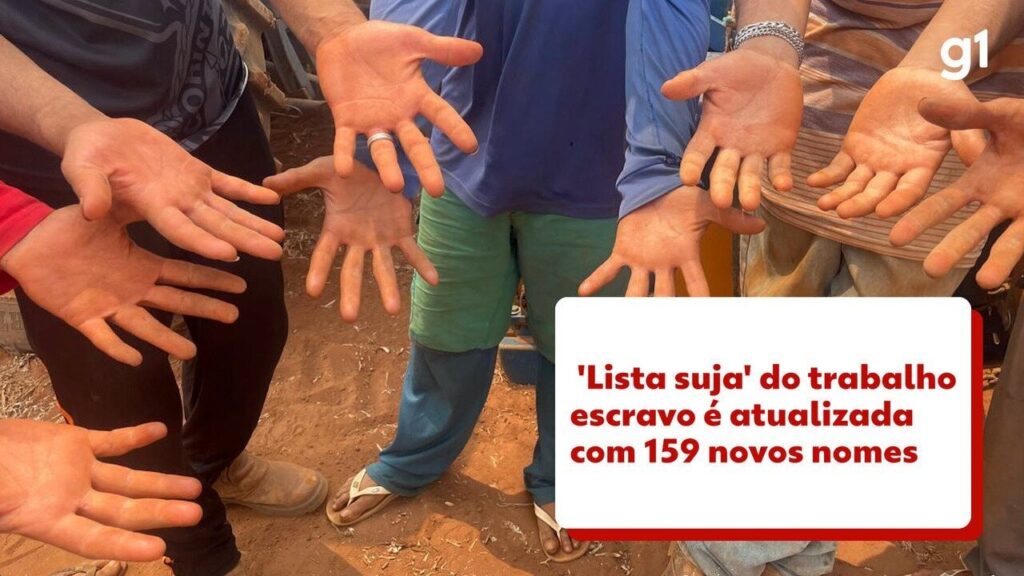 Quatro Empregadores do Amazonas na ‘Lista Suja’ do Trabalho Escravo: Conheça os Nomes Imagem do artigo