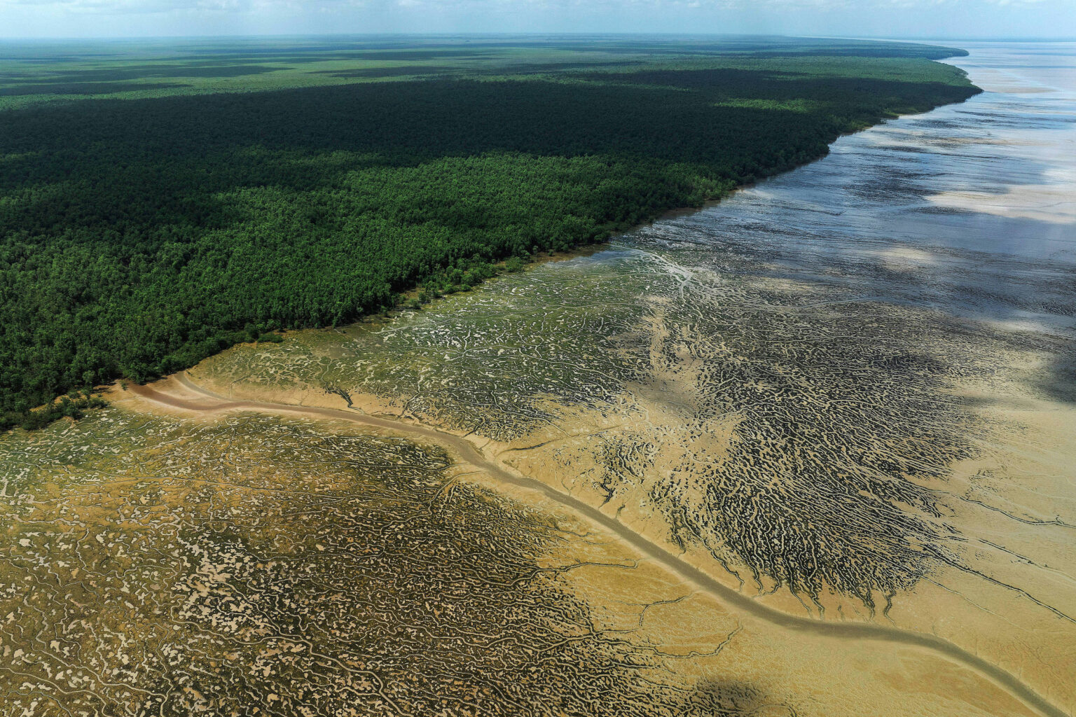 Petrobras Recebe Licença do Ibama para Perfuração na Foz do Amazonas Imagem do artigo