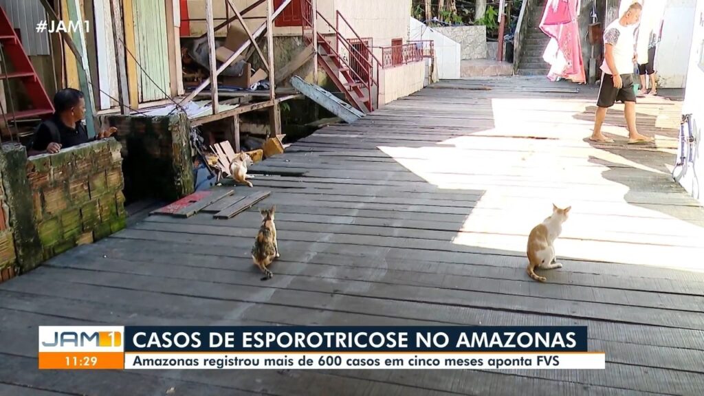 Imagem do artigo