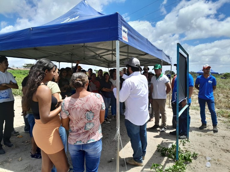 Governo da Paraíba e Embrapa Impulsionam a Cultura do Amendoim em Dia de Campo Imagem do artigo