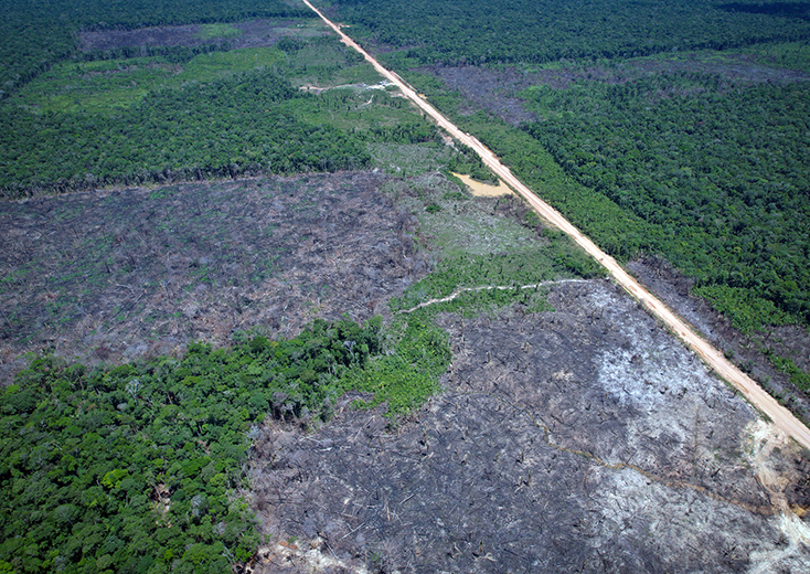 Povos Indígenas: Soluções Sustentáveis Frente aos Impactos da BR-319 Povos Indígenas: Soluções Sustentáveis Frente aos Impactos da BR-319