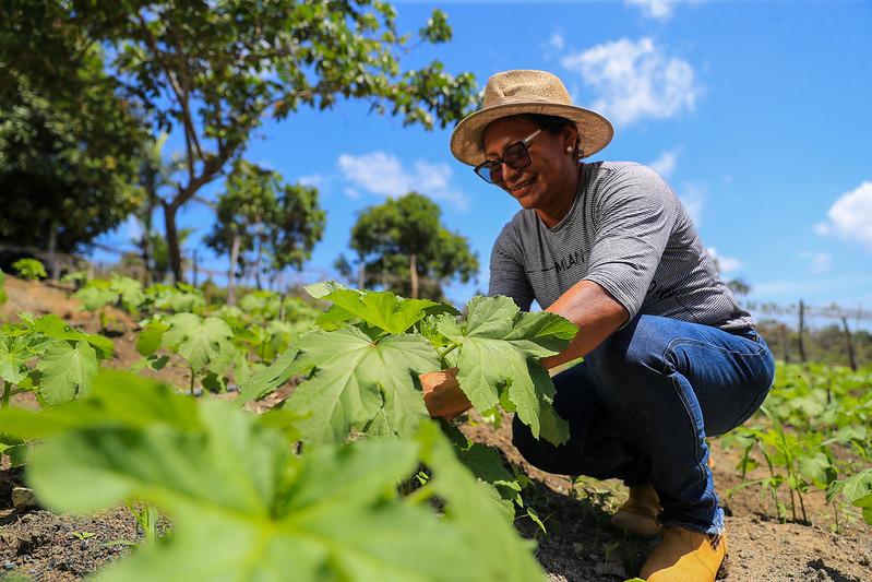 Capacitação de Produtores Rurais: Inscrições Abertas no Amazonas Capacitação de Produtores Rurais: Inscrições Abertas no Amazonas