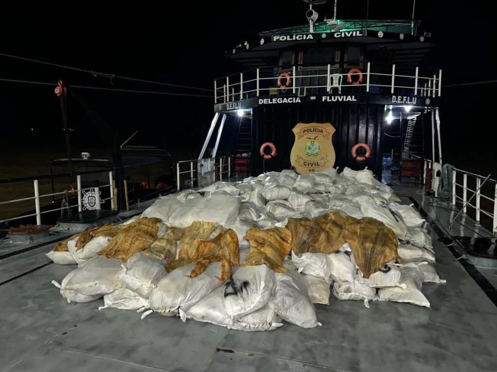 Delegacia Fluvial Apreende 12 Toneladas de Pirarucu Seco no Amazonas Delegacia Fluvial Apreende 12 Toneladas de Pirarucu Seco no Amazonas