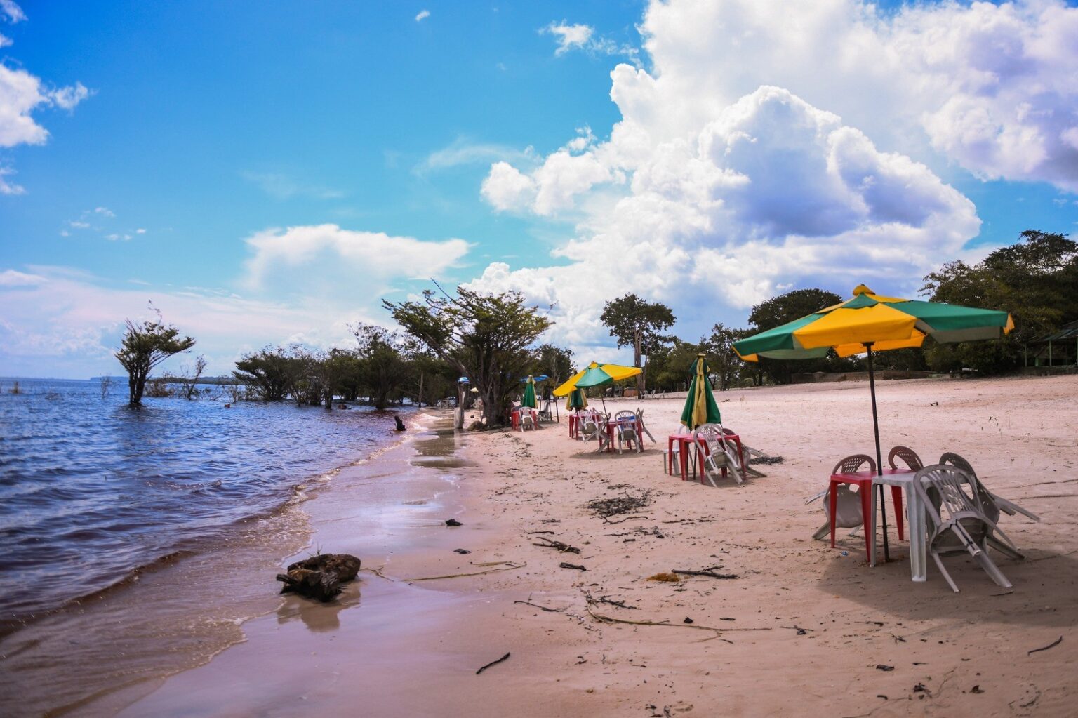 Descubra as Melhores Atividades para Fazer nas Férias no Amazonas