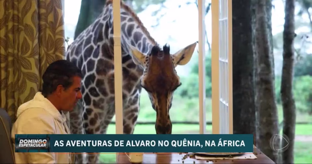 Descubra o Quênia: Turismo Sustentável e Encontro com Girafas