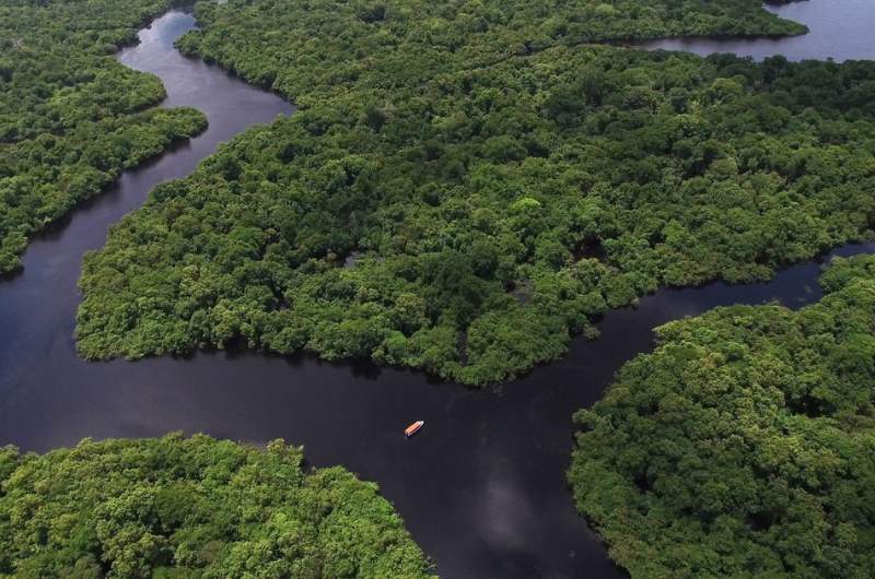 Família Vorcaro do Banco Master Envolvida em Projeto de Créditos de Carbono em Apuí Família Vorcaro do Banco Master Envolvida em Projeto de Créditos de Carbono em Apuí