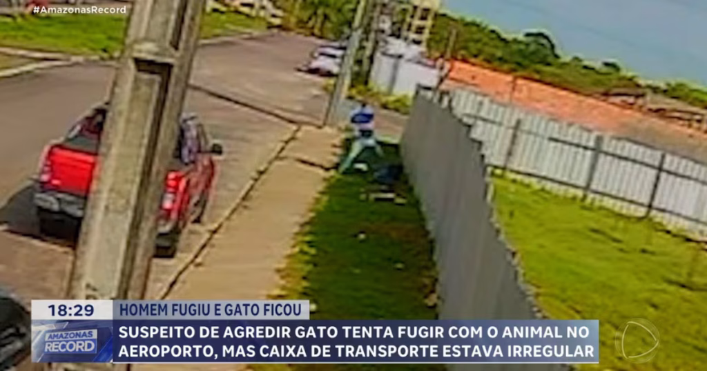 Homem é flagrado agredindo gato em Manaus: indignação e investigação Homem é flagrado agredindo gato em Manaus: indignação e investigação