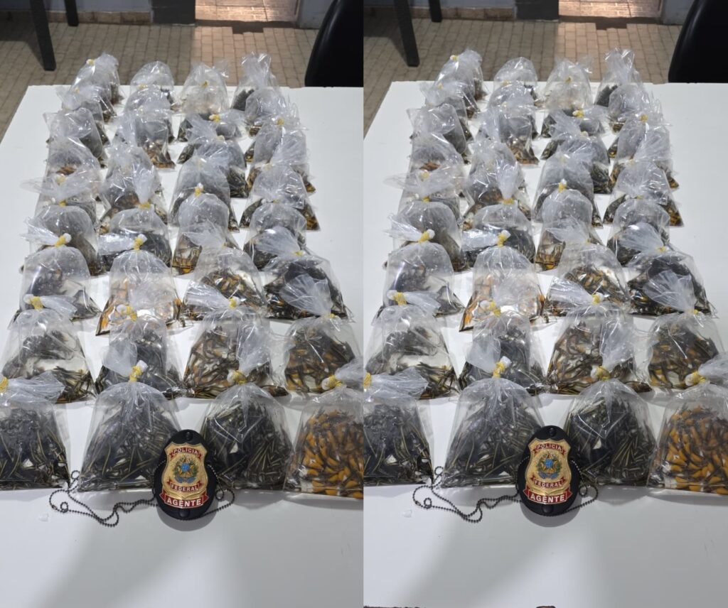 Homem é preso no Aeroporto de Tabatinga com mil peixes ornamentais contrabandeados