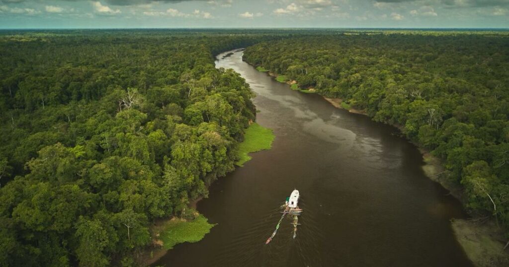 Inscrições para Núcleos de Sociobioeconomia na Amazônia São Prorrogadas até Fevereiro de 2024