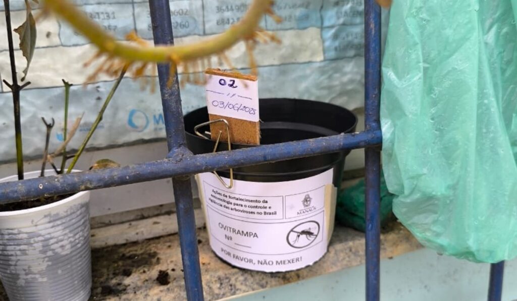 Manaus Implementa 'Ovitrampas' para Enfrentar Aedes aegypti e Combater Dengue em 2026