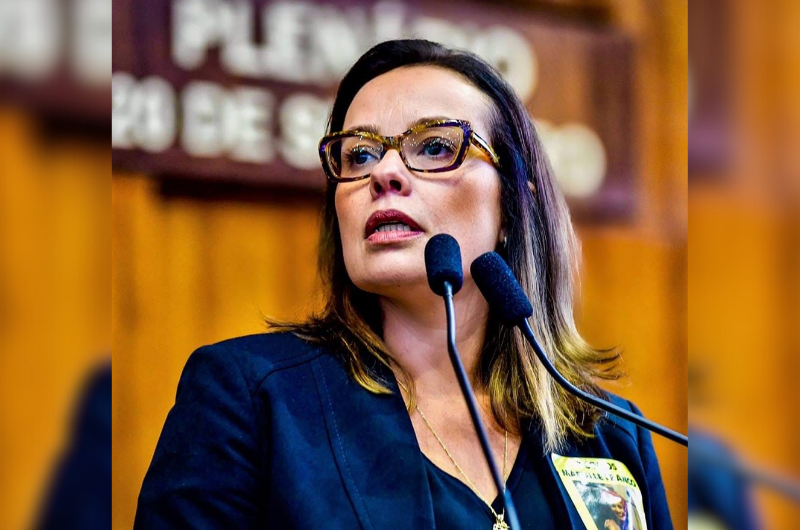 PDT do Amazonas se prepara para a chegada de Juliana Brizola PDT do Amazonas se prepara para a chegada de Juliana Brizola