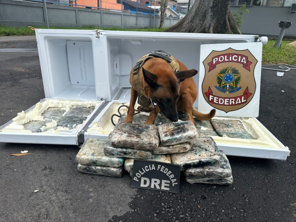 PF Realiza Apreensão de 30 kg de Drogas em Operação em Manaus PF Realiza Apreensão de 30 kg de Drogas em Operação em Manaus