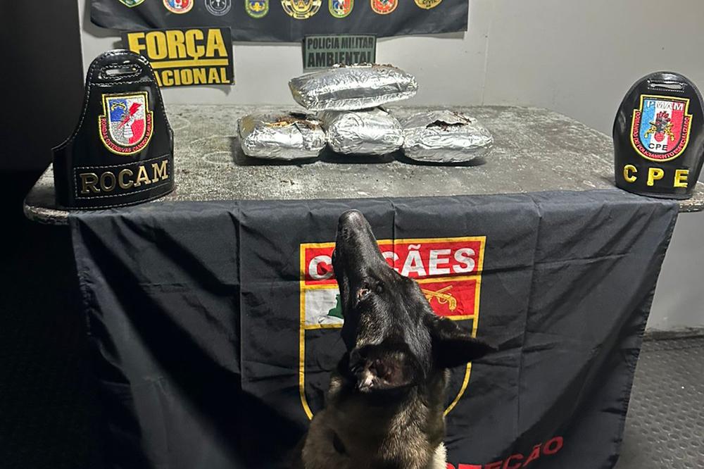 Polícia Militar Prende Homem com Oito Quilos de Maconha Skunk em Manaus Polícia Militar Prende Homem com Oito Quilos de Maconha Skunk em Manaus