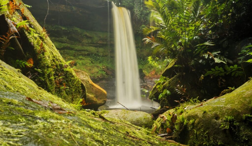 Trilhas no Amazonas: Dicas de segurança após caso de desaparecimento no Pico Paraná Trilhas no Amazonas: Dicas de segurança após caso de desaparecimento no Pico Paraná