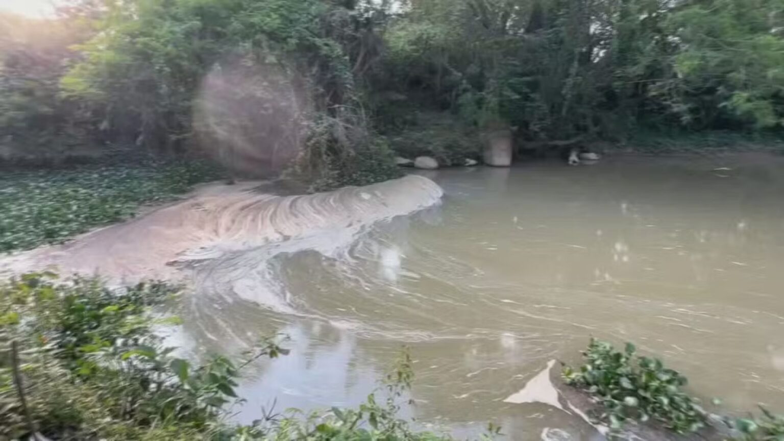 MP-SP Solicita Multa à SABESP por Despejo Irregular de Esgoto no Rio Pirapora