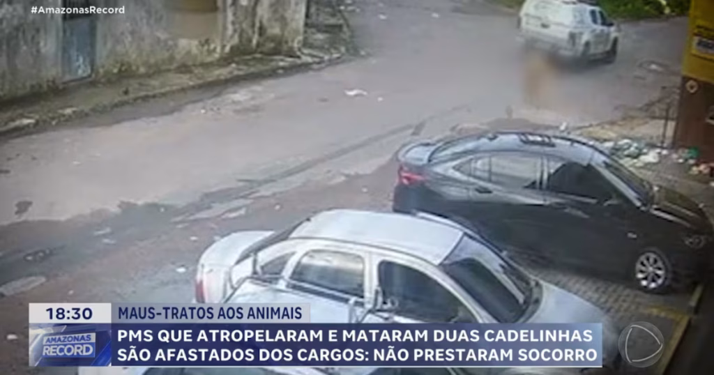 Tragédia em Manaus: Viatura da PM Atropela e Mata Duas Cadelas