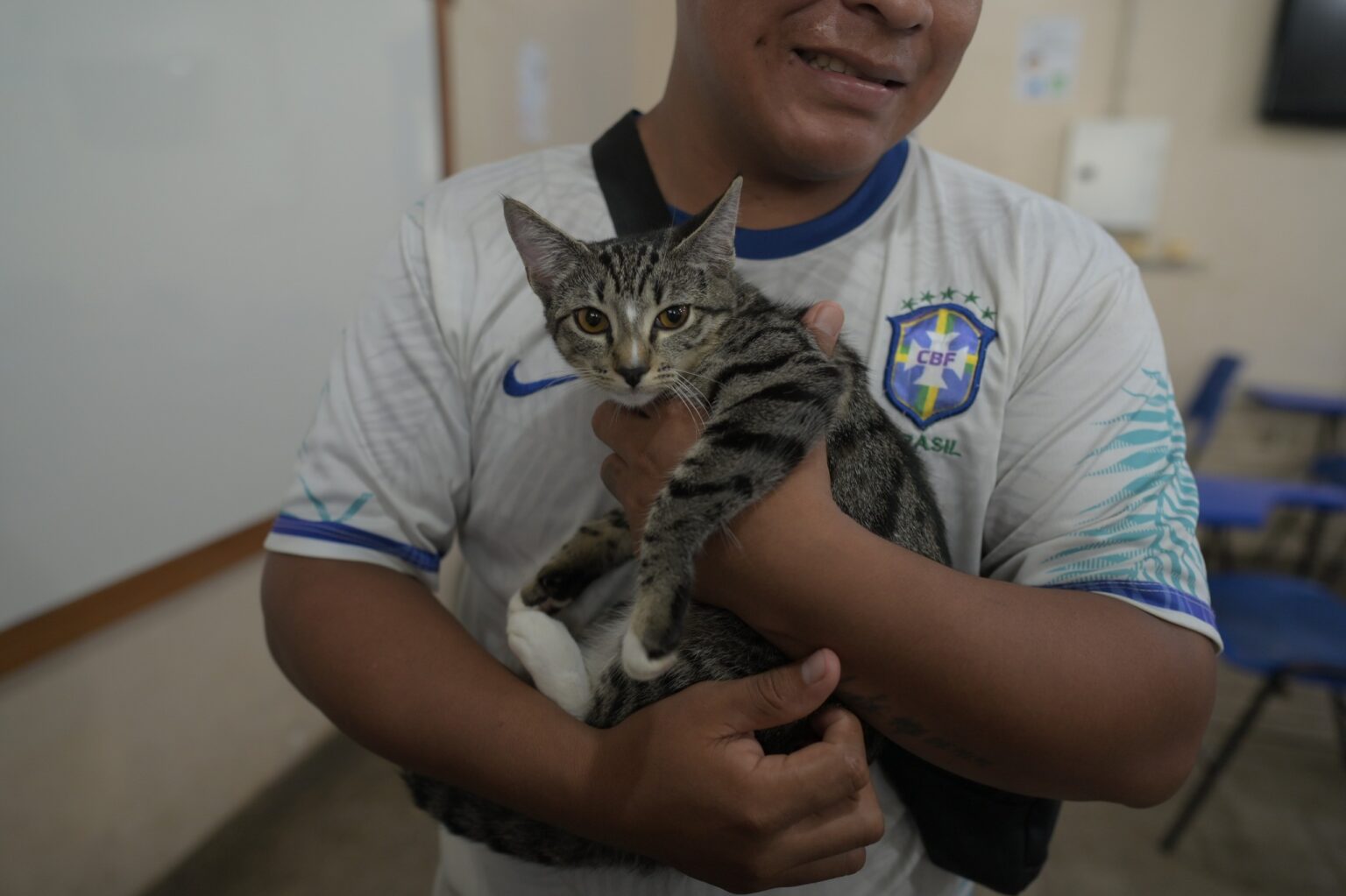 Mega Castração Gratuita em Manaus: Mais de 2 mil Animais Serão Atendidos Neste Domingo
