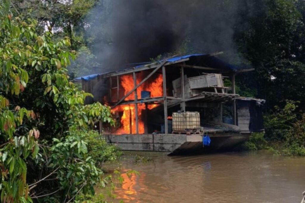 Operação Conjunta Desmantela Garimpo Ilegal no Amazonas