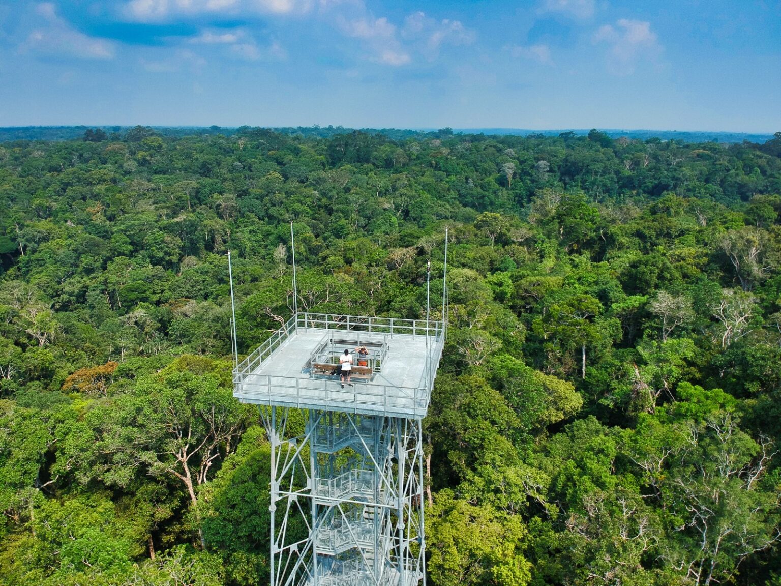 Turismo no Amazonas: Crescimento Marcante em Janeiro de 2026 Turismo no Amazonas: Crescimento Marcante em Janeiro de 2026