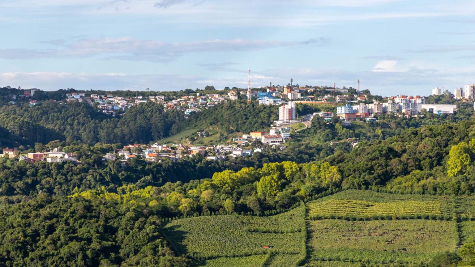 Bento Gonçalves: A Capital Brasileira do Vinho com Rótulos Premiados e Gestão Eficiente Bento Gonçalves: A Capital Brasileira do Vinho com Rótulos Premiados e Gestão Eficiente