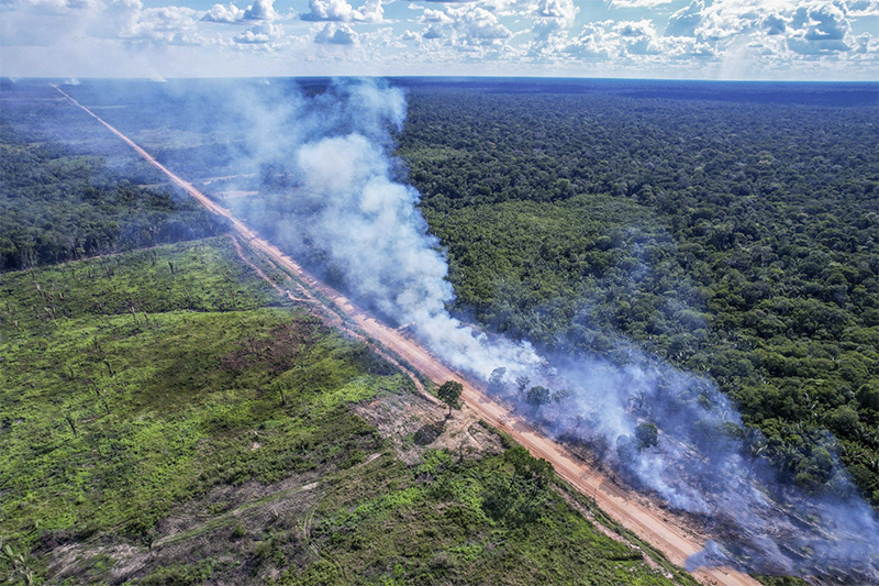 BR-319: A Infraestrutura que Enfrenta Obstáculos Políticos no Brasil BR-319: A Infraestrutura que Enfrenta Obstáculos Políticos no Brasil