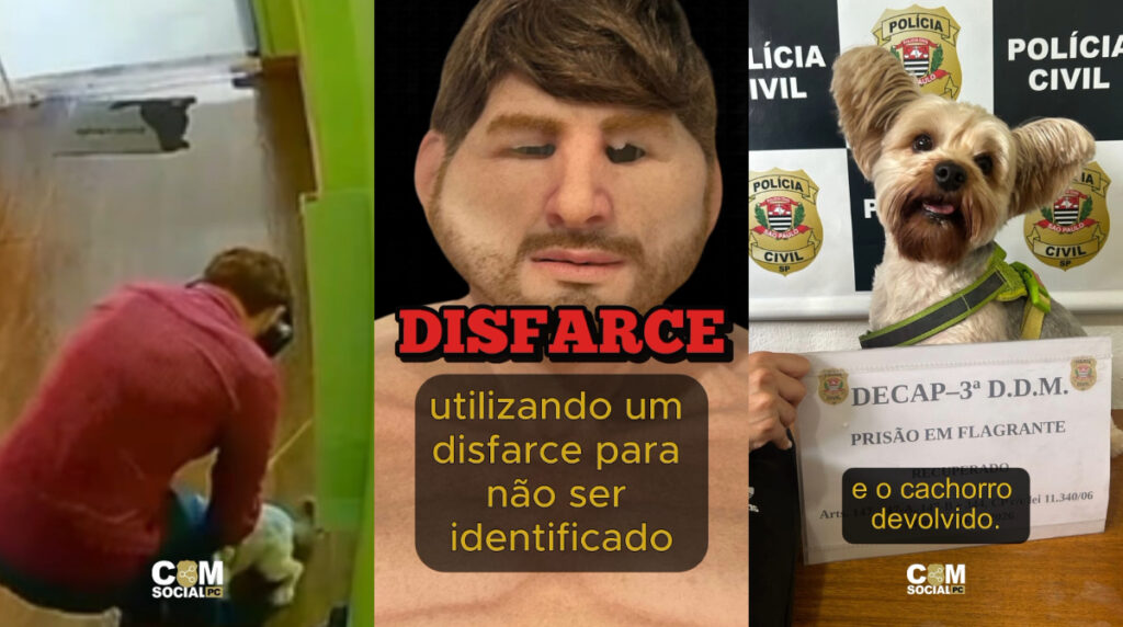 Homem Disfarçado Furtou Cachorro da Ex e Foi Detido em SP Homem Disfarçado Furtou Cachorro da Ex e Foi Detido em SP