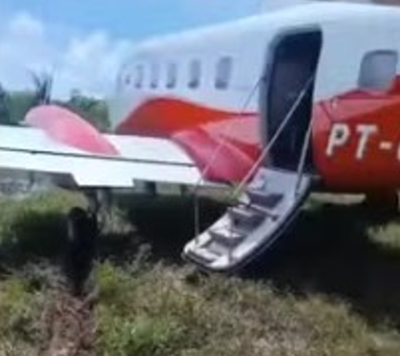 Piloto Interrompe Decolagem para Evitar Atropelamento de Animal no Amazonas Piloto Interrompe Decolagem para Evitar Atropelamento de Animal no Amazonas