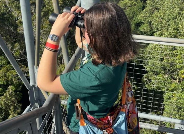 Descubra a Beleza da Avifauna em Manaus com o ‘Vem Passarinhar Manaus’ Descubra a Beleza da Avifauna em Manaus com o 'Vem Passarinhar Manaus'