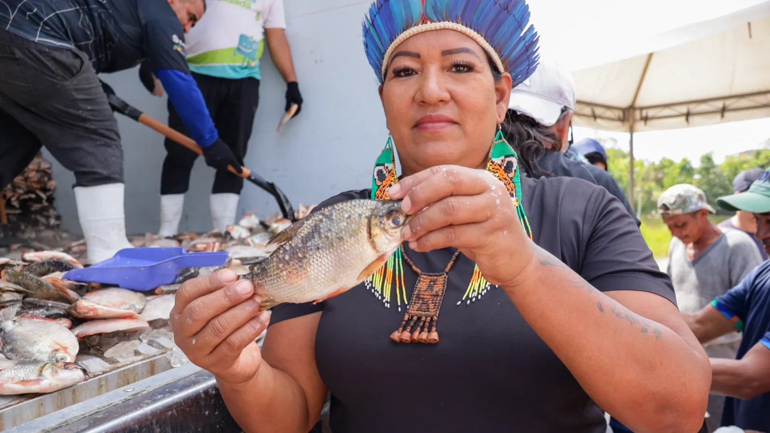 Prefeitura de Manaus entrega 85 mil peixes pelo programa Jaraqui da Gente em Redenção e Tarumã