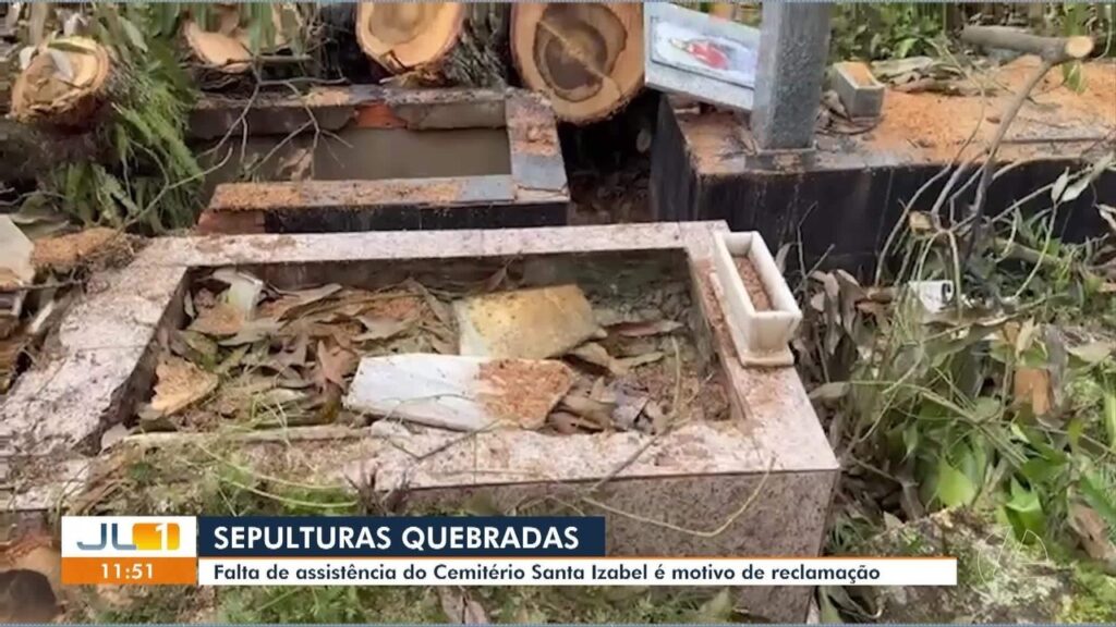 Árvore Cai e Danifica Túmulos no Cemitério Santa Izabel em Belém