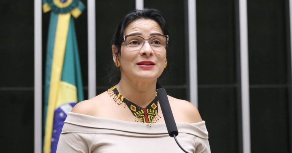 Audiência Pública na Câmara: Avanços da COP30 e o Impacto do Pacote de Belém