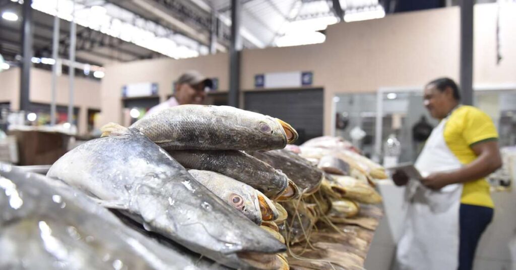 Aumento de Oferta de Pescado em Belém: Medidas Políticas e Seus Impactos