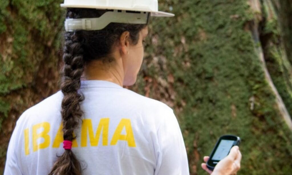 Câmara Acelera Projeto de Lei que Limita Fiscalizações Ambientais Câmara Acelera Projeto de Lei que Limita Fiscalizações Ambientais
