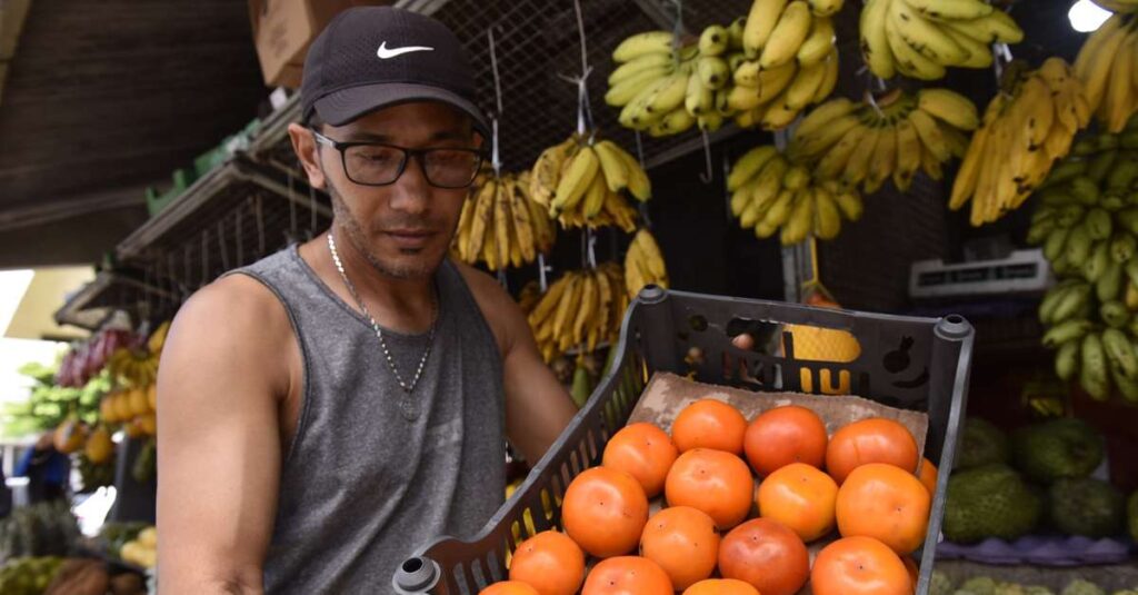 Caqui em Safra: Preço de 5kg a R$ 112,50 em Belém com Oferta Abaixo do Esperado Caqui em Safra: Preço de 5kg a R$ 112,50 em Belém com Oferta Abaixo do Esperado