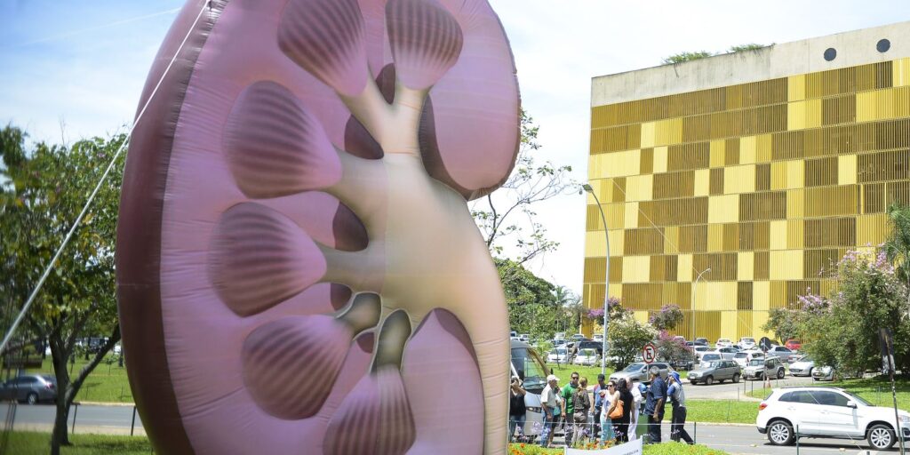 Dia Mundial do Rim: Campanha Incentiva Diagnóstico Precoce para Preservar a Saúde Renal Dia Mundial do Rim: Campanha Incentiva Diagnóstico Precoce para Preservar a Saúde Renal