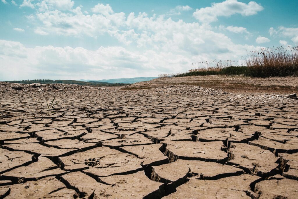 Estudo Revela que Seca Acelera Liberação de Carbono do Solo e Aumenta Aquecimento Global Estudo Revela que Seca Acelera Liberação de Carbono do Solo e Aumenta Aquecimento Global