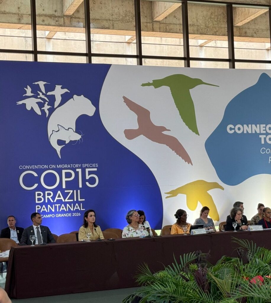 ICLEI Promove Encontro Regional Centro-Oeste e Cúpula de Governos Subnacionais na COP15